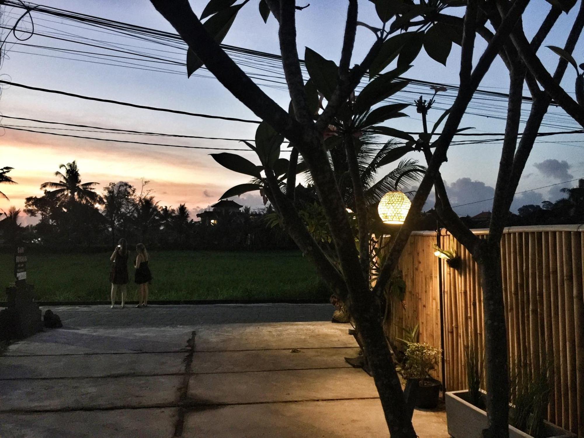 纱丽简易别墅 乌布 外观 照片